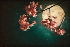 the moon is beautiful isn't it
